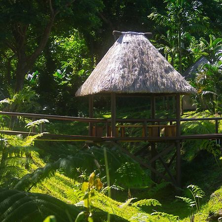Taveuni Dive Resort Waiyevo Kültér fotó