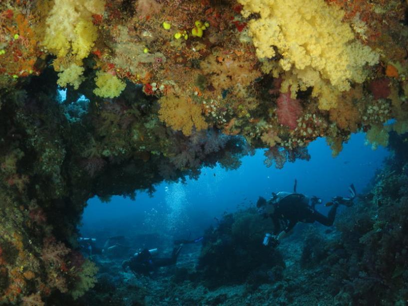 Taveuni Dive Resort Waiyevo Kültér fotó